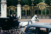 A coach in front of the gates to Buckingham Palace
