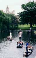 Punts on the River Cam