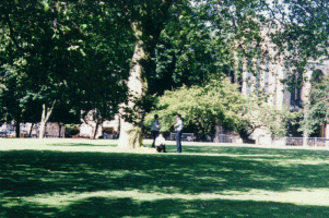 Just part of the park at Harrogate