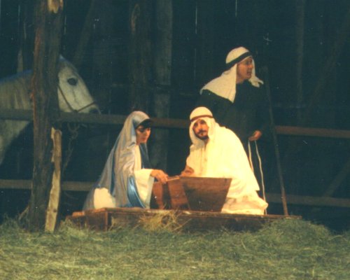 The stable, and the manger